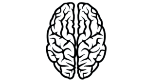 brainlogo black.webp